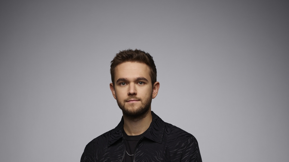 Poll 2022: Zedd