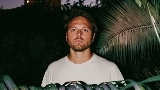 Photo of Nachtbraker surrounded by large palm leaves against a purple setting sky