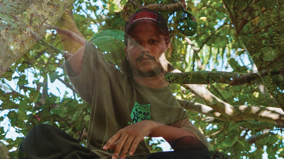 Double exposed photo of Jonny From Space sitting in a tree